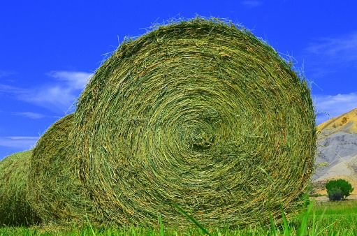 Large bale of hay