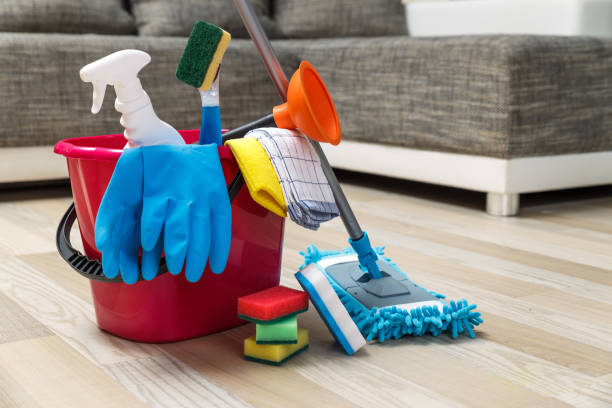 istock Cleaning service. Sponges, chemicals and mop. 658890716