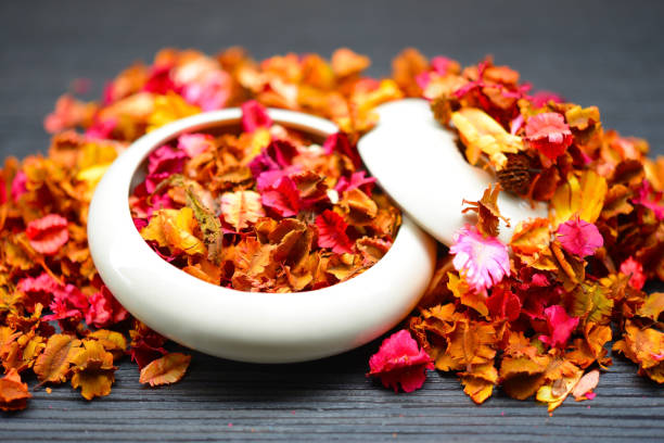 A minimalist photo featuring red potpourri pieces arranged in an L-shape on a vibrant blue background. This image captures a unique and artistic setup, perfect for seasonal designs, aromatherapy visuals, or creative background needs.