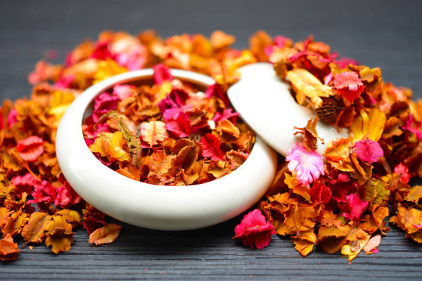 Potpourri dried plants and flowers for aromatherapy stock photo