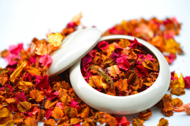 istock Potpourri dried plants and flowers for aromatherapy 658890990