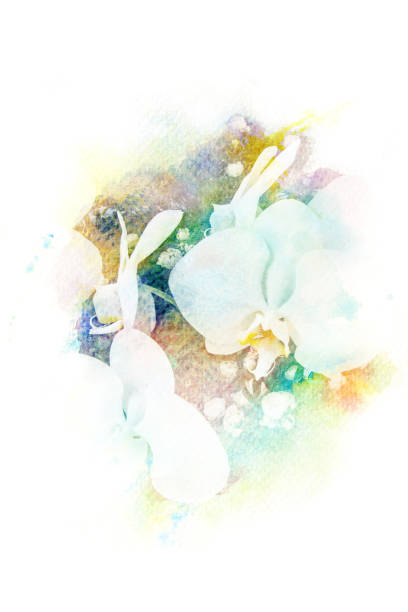istock Flower watercolor illustration. 658893256