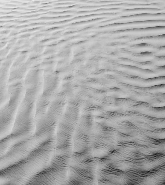 istock Black and White desert color. Background and Texture 658893640