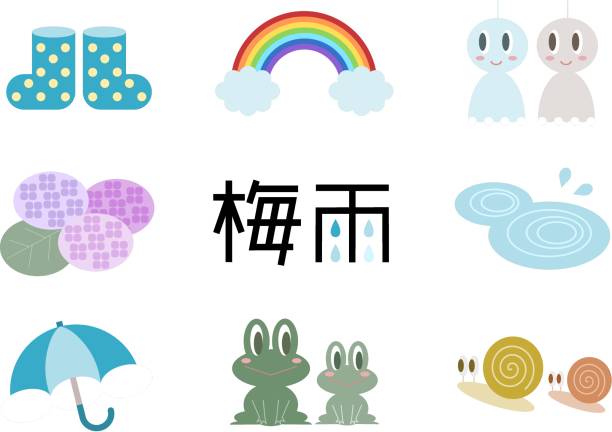ilustraciones, imágenes clip art, dibujos animados e iconos de stock de ilustración de época de lluvias - kanji japanese script food japan