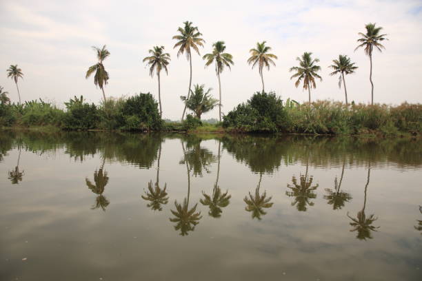 istock Kerala backwaters,in Kumarakom, Kerala, India 658897288