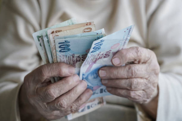 istock Closeup of wrinkled hands counting turkish lira banknotes 658910902