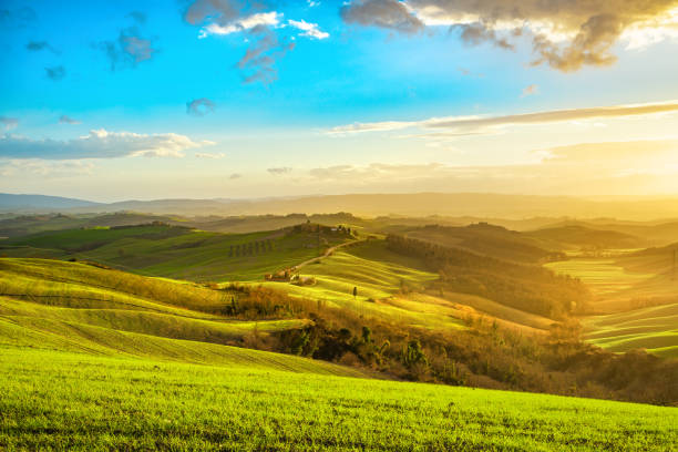 istock Tuscany misty panorama at sunset, rolling hills, fields, meadow. Italy 658927618