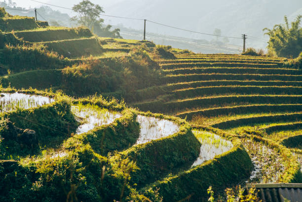 istock Pictures from Vietnam 658938120