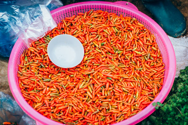 Selling red chili peppers in Can Cau market in Sapa, Vietnam