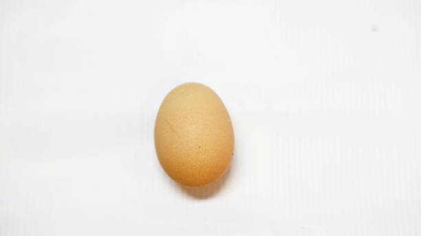 Egg The egg for the bakery making granary toast stock pictures, royalty-free photos & images