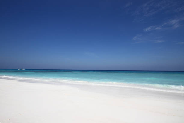 istock Tachai Island,Thailand 658945586