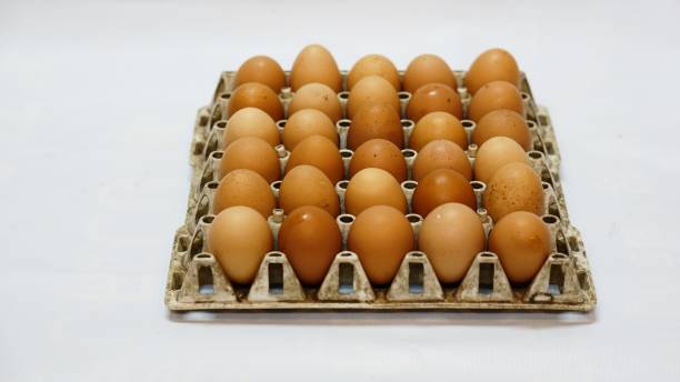 Eggs The eggs for the bakery making granary toast stock pictures, royalty-free photos & images