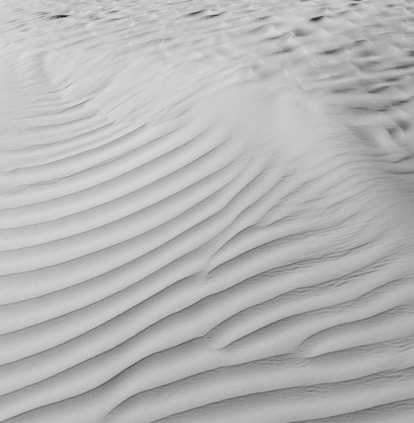 istock Black and White desert color. Background and Texture 658948462