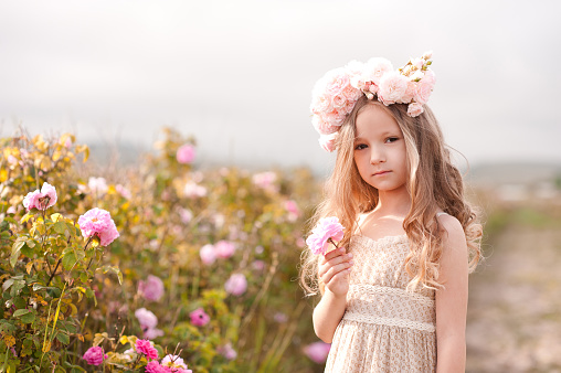 Cute kid girl 4-5 year old holding flower in rose field outdoors. Looking at camera. Childhood.