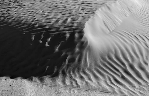 istock Black and White desert color. Background and Texture 658956728