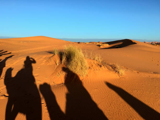 Camel safari in Morroco stock photo