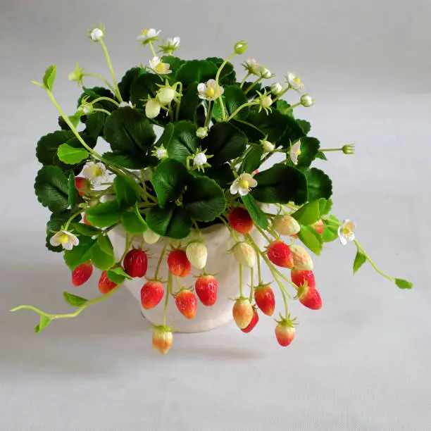 Amazing clay flower art with strawberry pot make from clay with white flower, red ripe strawberries and green leaf, handmade product for home decor