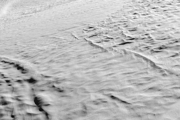istock Black and White desert color. Background and Texture 658966206
