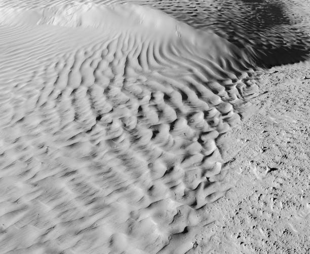 istock Black and White desert color. Background and Texture 658966544