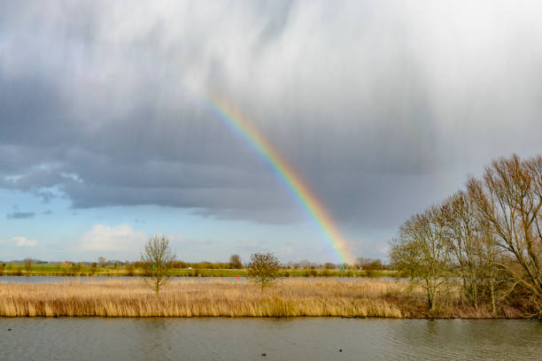 Rainbow over a landscape at the river IJssel Rainbow over a landscape at the river IJssel in early spring. ijssel photos stock pictures, royalty-free photos & images