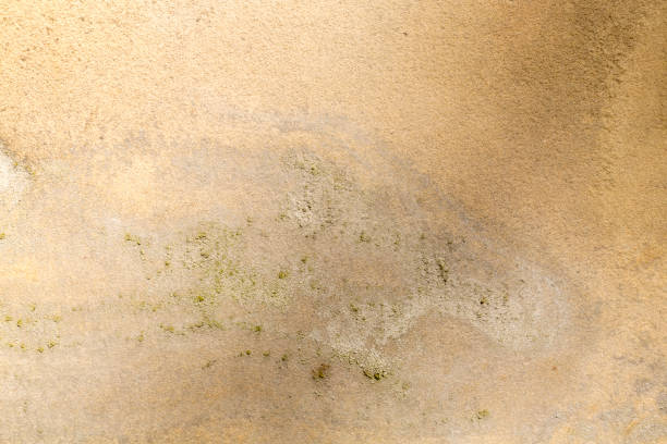 istock old grungy weathered wall for backgrounds 659008602