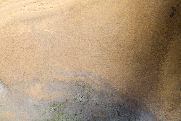 istock old grungy weathered wall for backgrounds 659019548