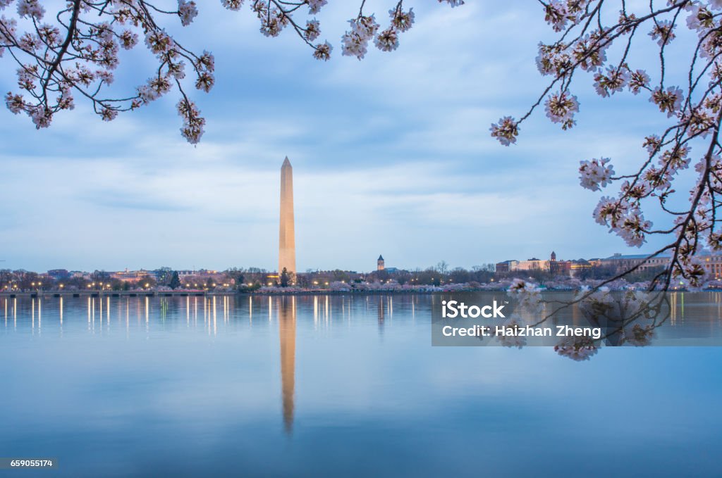 Kirschblüten in Washington, DC - Lizenzfrei Washington DC Stock-Foto Kirschblüten in Washington, DC - Lizenzfrei Washington DC Stock-Foto