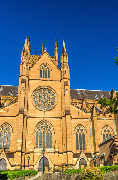 istock St Mary Cathedral in Sydney - Australia 659076488