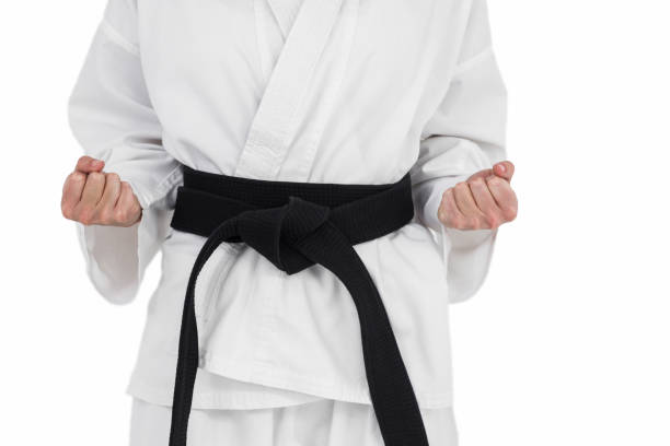 istock Female athlete posing in kimono 659108436