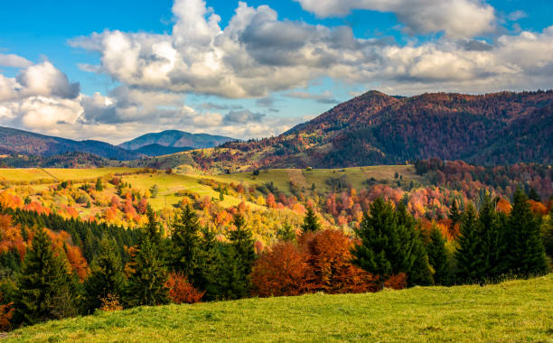 istock mountain rural area in late autumn 659110988