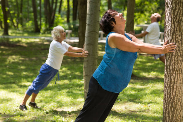 istock Seniors having training in a park 659112684