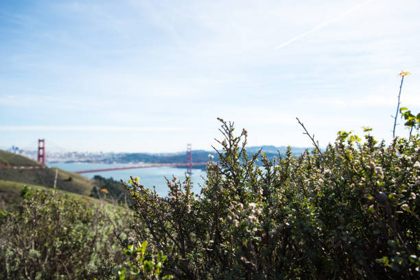 istock California Bay Area Landscape 659122018