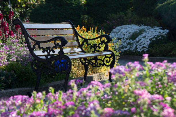 istock The Chair in beautiful garden. 659130026