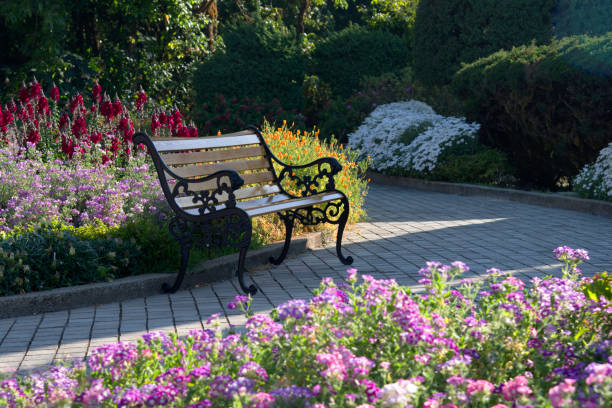 istock The Chair in beautiful garden. 659130376