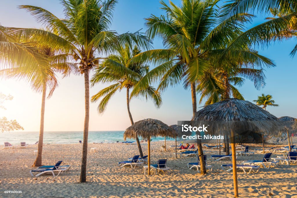 Cuban beach with sun lounger and palms Cuban beach with sun lounger and palms, Varadero, Cuba Cuba Stock Photo