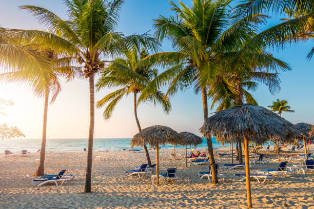 cuban beach with sun lounger and palms - 古巴 個照片及圖片檔