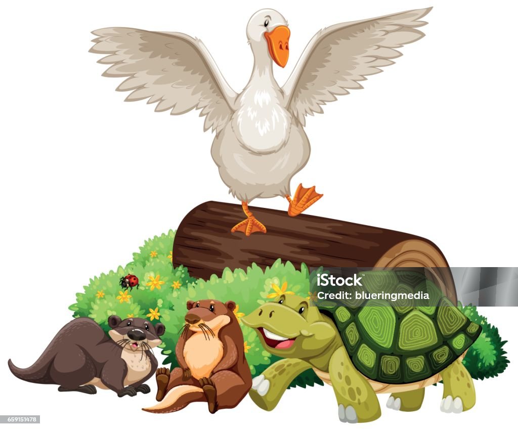 Animals on the wooden log Animals on the wooden log illustration Animal stock vector