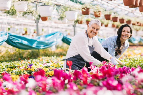 istock Generations of gardeners 659151818