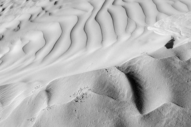 istock Black and White desert color. Background and Texture 659153302