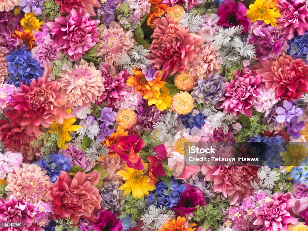 Mehrfarbige Blumen Wand Hintergrund Nahaufnahme - Lizenzfrei Blume Stock-Foto