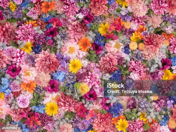 Mehrfarbige Blumen Wand Hintergrund Stockfoto und mehr Bilder von Blume - Blume, Bunt - Farbton, Blumenmuster