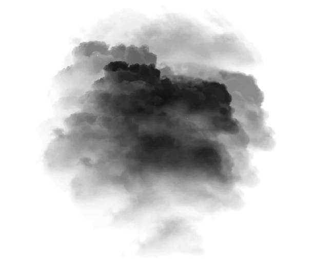 illustrazioni stock, clip art, cartoni animati e icone di tendenza di nebbia o fumo isolato effetto speciale trasparente - great smoky mountains illustrations