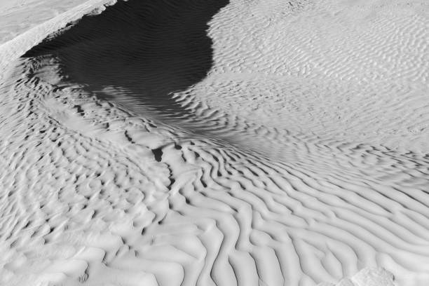 istock Black and White desert color. Background and Texture 659180604