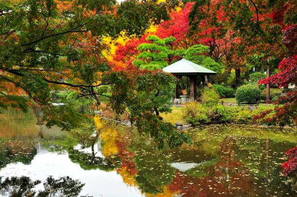 istock Japanese Autumn Foliage 659182384