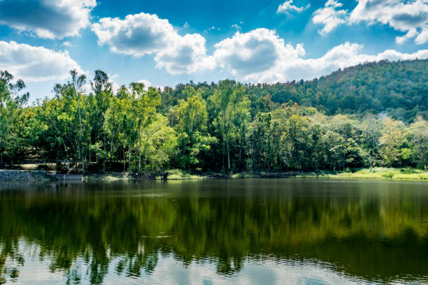 istock Mountain trees and green lake 659191414