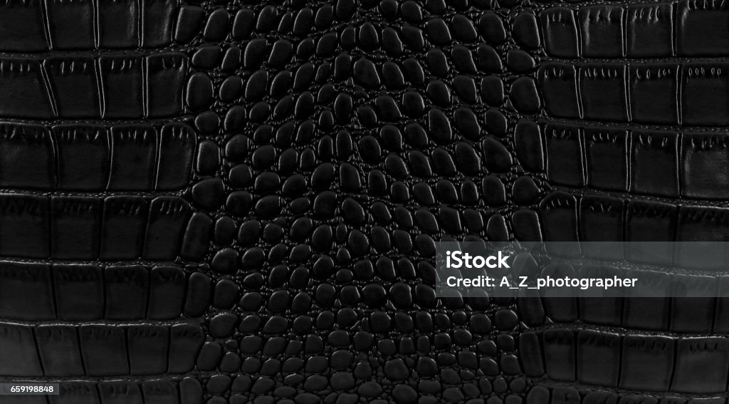 Snake skin Hintergrund. - Lizenzfrei Texturiert Stock-Foto