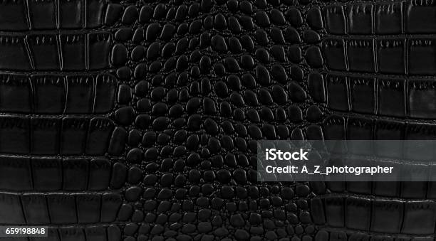 Snake Skin Hintergrund Stockfoto und mehr Bilder von Texturiert - Texturiert, Schlangenleder, Echte Krokodile