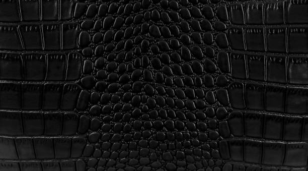 Snake skin background. Snake skin background. Close up. viper photos stock pictures, royalty-free photos & images