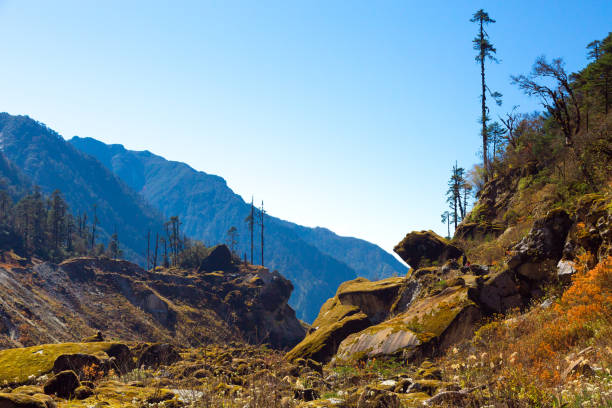 istock Mixed Spring forest and mountains view in Nepal Himalayas 659201450