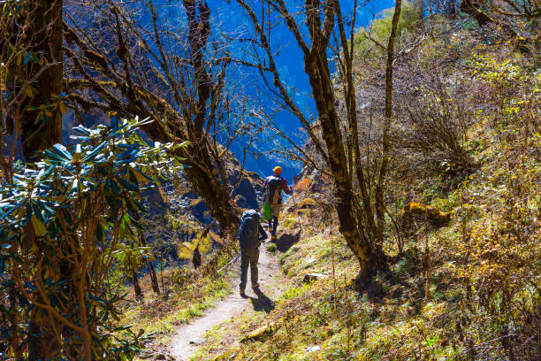 istock People on Hike in tropical Forest in Nepal Himalayas 659210696